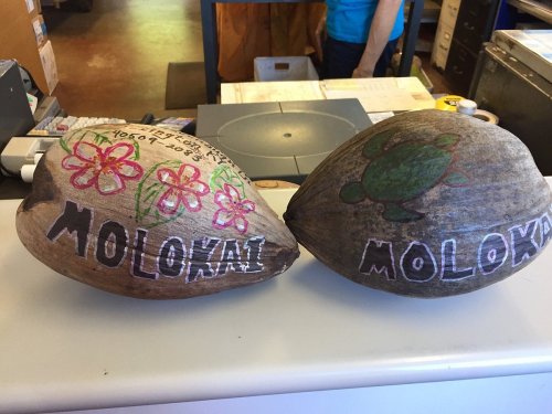Two decorated coconuts with "Molokai" written on them, featuring flowers and a turtle design, on a counter.