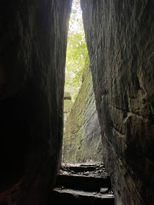 Narrow stone passageway leading to a bright, green-lit area with steps and foliage above.