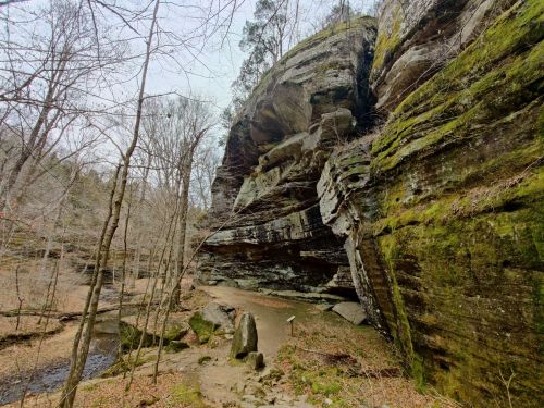A rocky cliff with moss and trees, surrounded by a forested area and a small stream in the foreground.