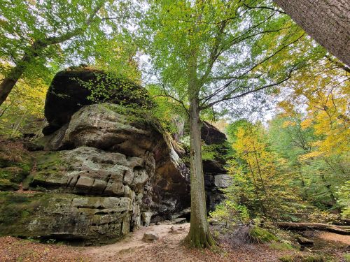A large rock formation surrounded by vibrant trees in a forest during autumn.