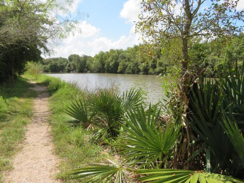 A serene riverbank scene with a winding path, lush greenery, and palm plants under a blue sky with fluffy clouds.