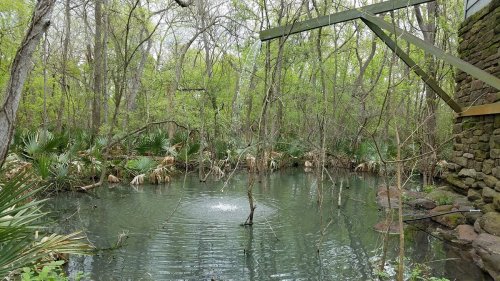 A serene pond surrounded by lush greenery and trees, with gentle ripples on the water's surface.