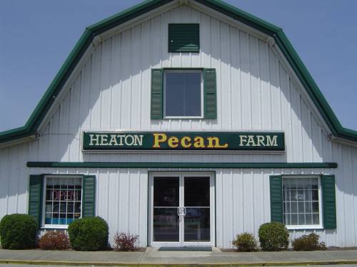 A white barn-style building with green trim, featuring a sign that reads "Heaton Pecan Farm" and an "Open" sign in the window.
