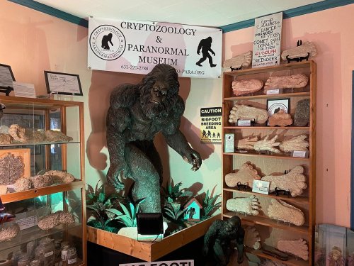 A Bigfoot statue in a museum display, surrounded by various Bigfoot-related artifacts and a caution sign.