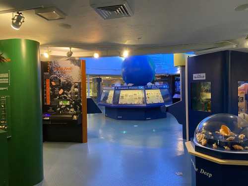 Interior of a marine exhibit featuring displays, a large blue globe, and informational panels about ocean life.