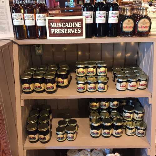 Shelves displaying various jars of muscadine preserves and syrups, labeled and neatly arranged.