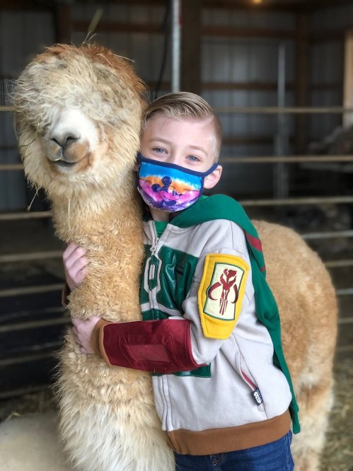 A child in a colorful mask hugs a friendly llama in a barn setting.