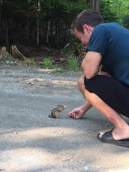 A person crouches on a gravel path, offering food to a curious chipmunk in a forested area.