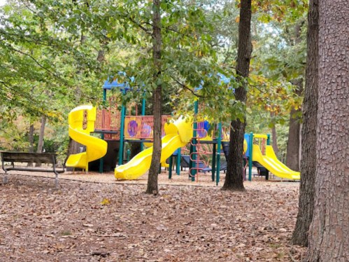 Colorful playground with yellow slides surrounded by trees and fallen leaves in a park setting.