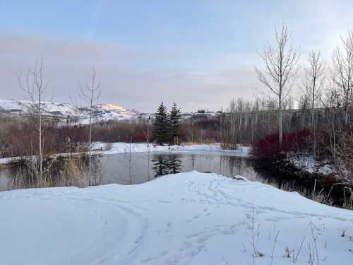 A serene winter landscape featuring a snowy pond surrounded by bare trees and distant mountains under a soft sky.