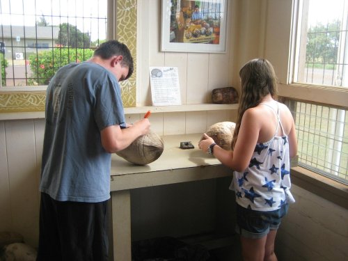 Two people are carving designs into large, oval-shaped objects at a table in a bright room.