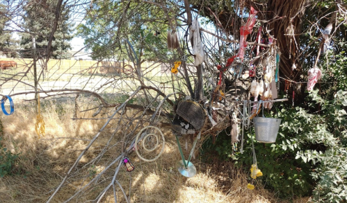 A tree with various objects hanging from its branches, including ropes, a bucket, and colorful decorations.