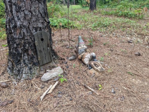 A wooden gnome lies on the ground near a tree, with a birdhouse and pinecones scattered around in a forest setting.
