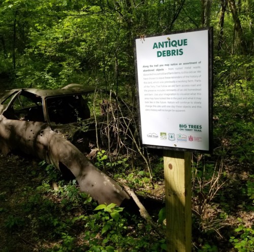 A weathered sign about "Antique Debris" next to an old, rusted car partially hidden in a lush green forest.