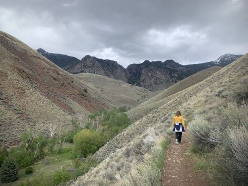 A person walks along a trail in a hilly landscape with mountains in the background under a cloudy sky.