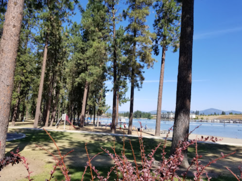 A serene lakeside park with tall trees, a grassy area, and people enjoying the water in the background under a clear blue sky.