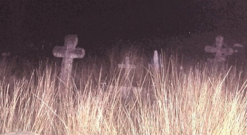 Graveyard at night with weathered crosses partially obscured by tall grass.