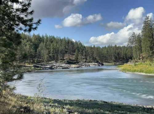 A serene river flows through a forested landscape, with rocky banks and a clear blue sky dotted with clouds.