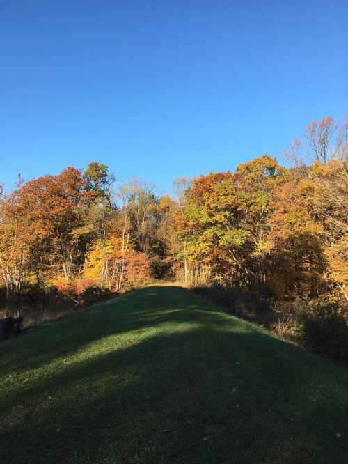 A serene path lined with colorful autumn trees under a clear blue sky.