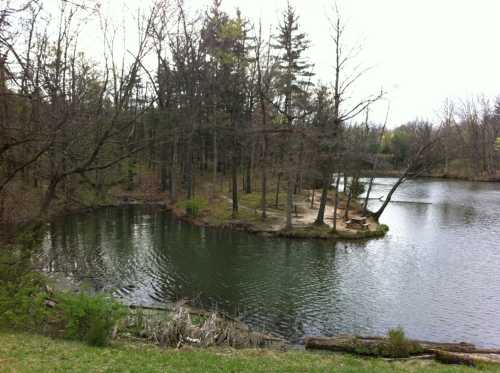 A serene lake surrounded by trees, with a small island and a picnic area visible along the shore.