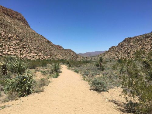 A sandy path winds through a desert valley surrounded by rocky hills and sparse vegetation under a clear blue sky.