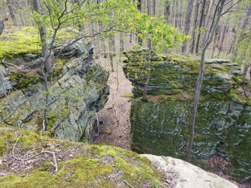 A rocky landscape with moss-covered cliffs and trees, creating a narrow passage between two stone formations.