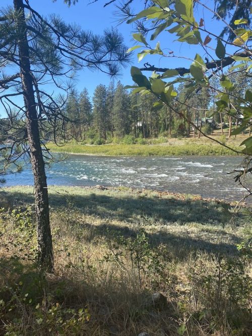 A serene river flows through a green landscape, framed by trees under a clear blue sky.