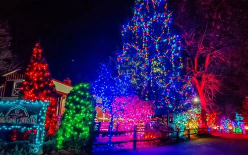 Colorful holiday lights illuminate trees and a sign at night, creating a festive winter scene.