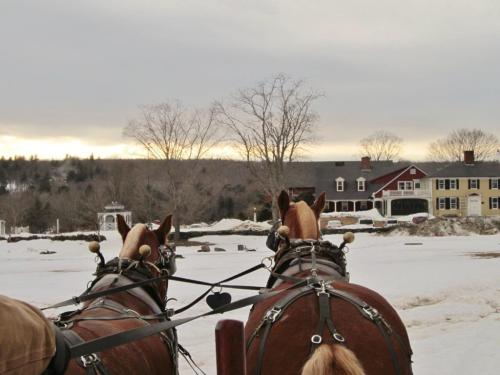 Two horses in harness facing a snowy landscape with a distant house and trees under a cloudy sky.