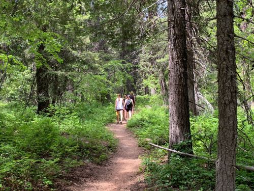 Three people walking along a dirt path through a lush green forest.