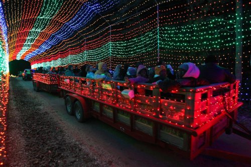 A trailer filled with people travels through a colorful tunnel of festive lights.
