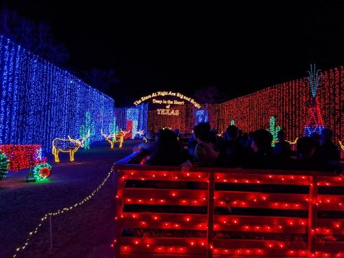 Colorful holiday lights illuminate a festive scene with decorations and silhouettes of animals, creating a joyful atmosphere.