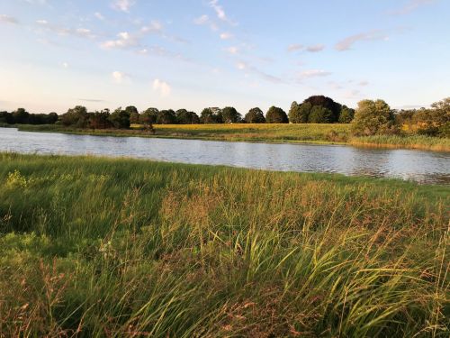 A serene river flows through lush green fields under a clear sky, with trees lining the horizon.