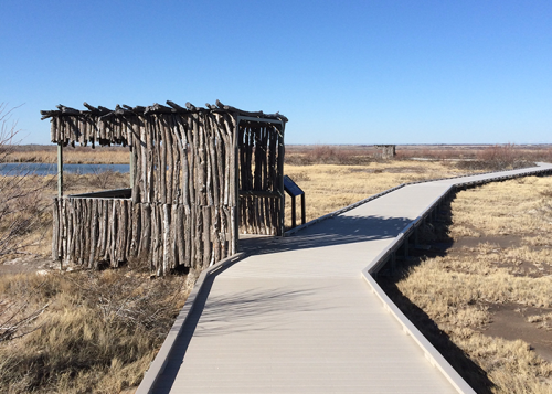 A wooden observation hut beside a boardwalk, surrounded by dry grass and a calm water body under a clear blue sky.
