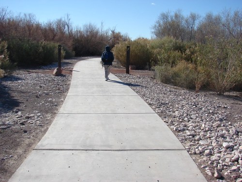 A person walks along a paved path surrounded by shrubs and trees under a clear blue sky.
