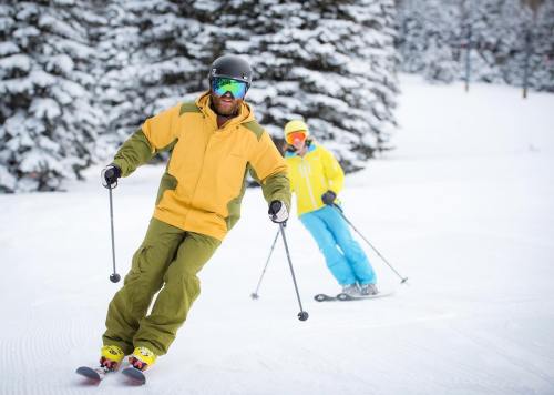 Two skiers navigate a snowy slope, one in a yellow jacket and the other in a blue outfit, surrounded by trees.
