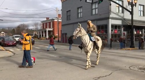 A person in a fur coat rides a zebra-striped horse through a busy street with pedestrians and cars.