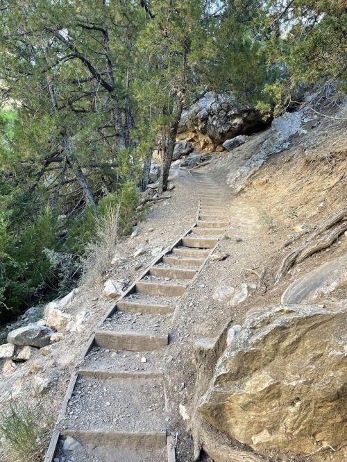 A narrow dirt path with wooden steps, surrounded by trees and rocky terrain.
