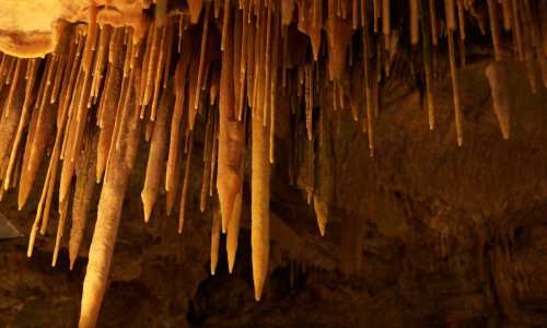 Stalactites hanging from a cave ceiling, showcasing various shapes and textures in warm, earthy tones.