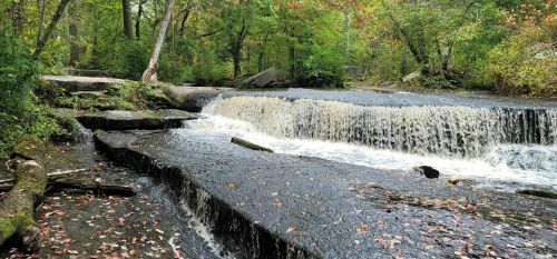 A serene waterfall cascades over rocky ledges, surrounded by lush green trees and autumn foliage.