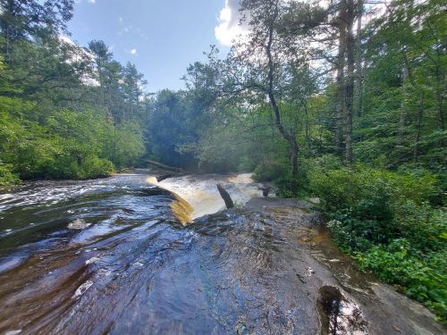A serene river flows over rocks, surrounded by lush green trees and a bright blue sky.