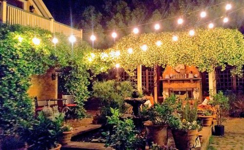 A cozy garden at night, illuminated by string lights, featuring lush greenery and a central fountain surrounded by potted plants.