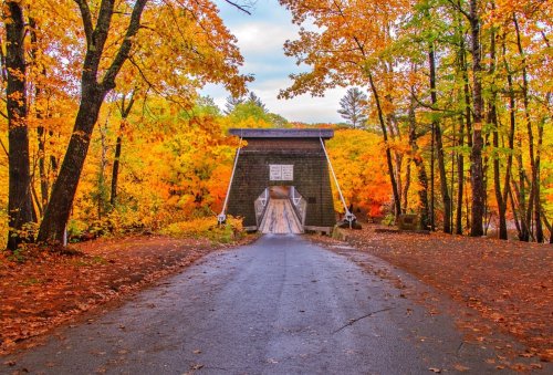 A scenic view of a bridge surrounded by vibrant autumn foliage and a winding road.