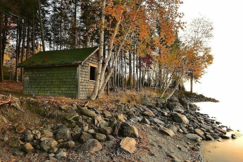 A rustic cabin by a rocky shore, surrounded by autumn trees and a calm lake at sunset.