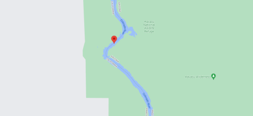 Map showing a river winding through a green area, with a red marker indicating a specific location.