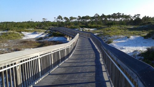 A wooden boardwalk winding through sandy dunes and greenery under a clear blue sky.