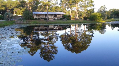 A serene pond reflects trees and a house, surrounded by lush greenery under a clear sky.