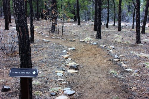 A dirt path marked by stones leads through a forest, with a sign indicating the Outer Loop Trail.