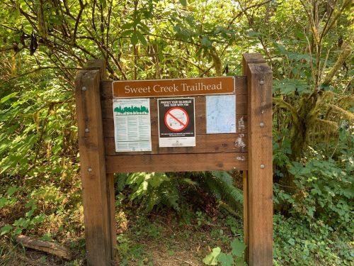 Wooden trailhead sign for Sweet Creek Trail, featuring park information and a no smoking notice, surrounded by greenery.
