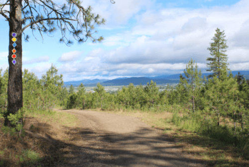 A winding dirt path through green trees, with mountains and a cloudy sky in the background.
